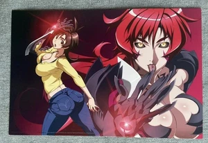 SDCC 2007 Witchblade Anime DVD Promo Lobby Card 6x9 - Picture 1 of 2