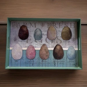 Boston Warehouse 18" Lazy Susan Ei Sorte bunte Eier BPA Kunststoff - Bild 1 von 5