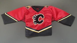 2006-07 UD Mini Jersey Collection Home Jersey Dion Phaneuf Calgary Flames NHL - Picture 1 of 2