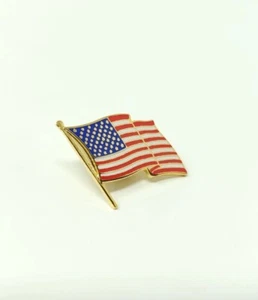 United States Flag Enamel and Metal Lapel Pins for USA Patriotism and Politics - Picture 1 of 11