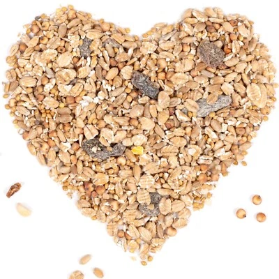 25 kg Fettfutter Vogelfutter Wildvogelfutter Winter & Sommer Lyra Pet® HK Polen - Bild 1 von 4