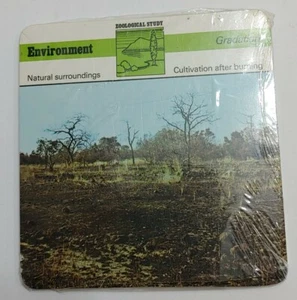 1977 Editions Rencontre S.A. Lausanne Animal Flash Cards Environment 24-Pack - Picture 1 of 7