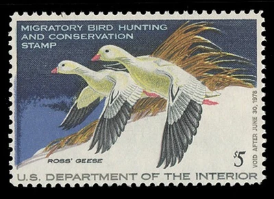SCOTT #RW44 - $5.00 1977 DUCK STAMP - F-VF NH - Image 1 of 2