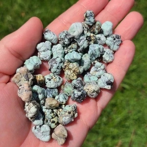 EMERALD BASIN VARISCITE ROUGH NUGGETS NEVADA USA 64.6 GRAMS - Picture 1 of 2