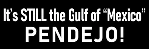 It's Still the Gulf of Mexico Large 3x9 Anti Trump Gulf of America Sticker - Picture 1 of 4