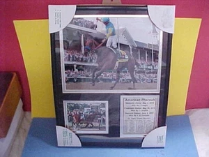 American Pharoah 11 x 14 gerahmter Druck. Neu. Wunderschön. Triple Crown Winner 2015 - Bild 1 von 4