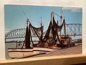 Shrimp Boats at Dock: Morgan City, LA - Vintage Postcard - Picture 1 of 3