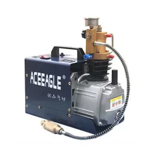 Air Compressor High Pressure PCP Airgun Scuba Air Pump 300BAR 4500PSI 30MPA 1800W - Picture 1 of 16