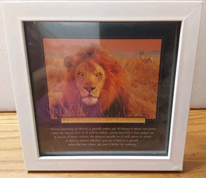 Essenz des Überlebens Löwe & Gazelle Geschichte inspirierendes Zitat gerahmtes Bild 8x8 - Bild 1 von 3