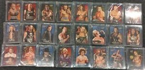 WWE Wrestling 2007 Inaugural 24 Card Dog Tag Complete Set The Rock Gold Rare Lot - Picture 1 of 11