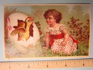 Antique Victorian Era Picture Card: Girl Watching Chick Hatching, no advertising - Picture 1 of 2