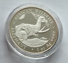 Somalia-Elephant 100 Shillings 2023°1 oz. 999/1000 fine silver ° UNCIR GLOSSY.