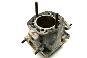 84 Arctic Cat El Tigre 6000 Cylinder 115.92" - Picture 1 of 8