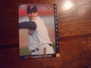 2001 CALGARY CANNONS Team Issue Minor League Single Cards YOU PICK OBO