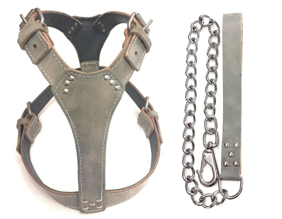 Plain Grey Leather Dog Harness for dogs like Staffy with Matching Chain Lead - Image 1 of 1
