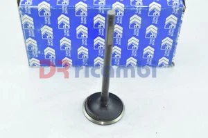 VALVOLA DI ASPIRAZIONE PER IVECO ZETA 50 55 60 65 70 79 INDUSTRIAL AE V91951 - Foto 1 di 5
