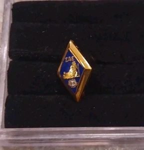 Gold Blau Emaille Sigma Alpha Epsilon Mitglied Nummeriert Bruderschaft Pin - Bild 1 von 4