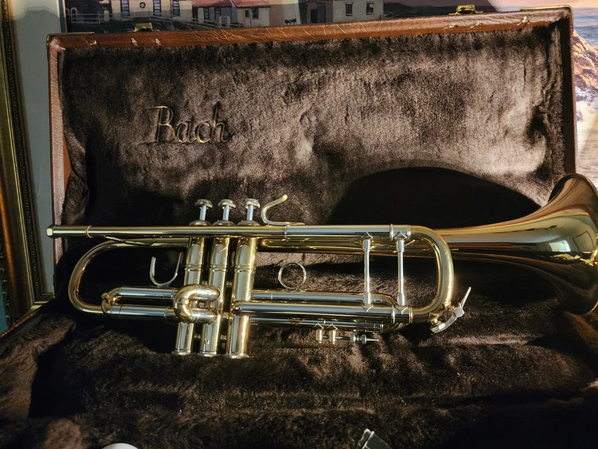 bach バッチ ストラディバリウス model 37 トランペット bach バッチ ストラディバリウス model 37 トランペット B