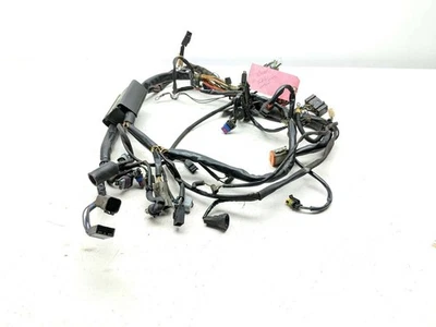 05-09 Harley Softail Heritage Classic FLSTCI cableado principal arnés telar Foto 1 de 4