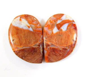 Par de pendientes de piedras preciosas de cabujón de lujo de poligrama natural de 13 quilates CB = 0150 - Imagen 1 de 7