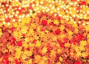 Fall Backdrop Autumn Maple Leaves Scenery Backdrops for Photography Thanksgiv... - Picture 1 of 6
