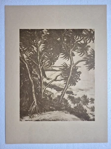 Vintage Hawaiian Artist H.M. Luquiens (1881-1961) "PUHALA" Lithograph print - Picture 1 of 6