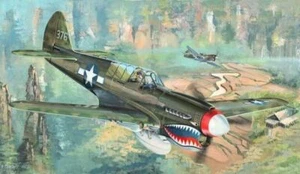 1/32 Trumpeter P40N Warhawk Fighter - Picture 1 of 1