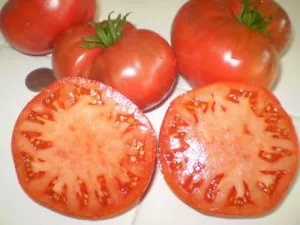 Semi di pomodoro Barlow Jap cimelio non OGM aperto impollinato SUPER DELICIOUS 25 - Foto 1 di 12
