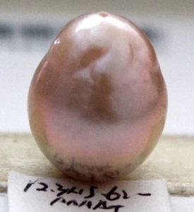 15.6MM AAAA+ JAPANESE KASUMI PEARLS COMPLETED HOLE  - Picture 1 of 5