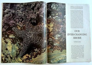 RACHEL CARSON 1958 RARE SHORELINE ESSAY + A.B GUTHRIE ON MOUNTAINS * ANSEL ADAMS - Picture 1 of 3