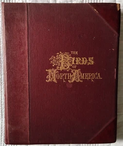 The Birds of North America 1903 Jacob Studer 119 Artistic Colored Plates - Bild 1 von 18