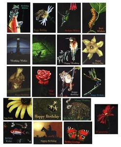 Greetings cards - beautiful artwork on black with various themes - birthday etc - Picture 1 of 20