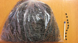 10 000 STÜCK GUMMISTOPFEN GOLD FANTASTISCHER PREIS SCHWARZ STARK! - Bild 1 von 3