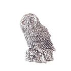Tawny Owl Finely Handcrafted in Solid Pewter In UK Lapel Pin Badge B02