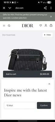 Bolso de hombro Christian Dior Safari con correa estilo compacto Foto 1 de 4