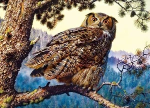 Chart Needlework DIY - Counted Cross Stitch Patterns -Great Owl - Picture 1 of 2