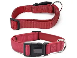 Cuello de perro GATO fuerte nailon ajustable confort S M L XL NUEVO PARA MASCOTAS - Imagen 1 de 12