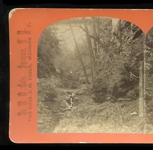 1870-80 Stereoview Watkins Glen Scenery SG & C Railway, G.F. Gates - Bild 1 von 2