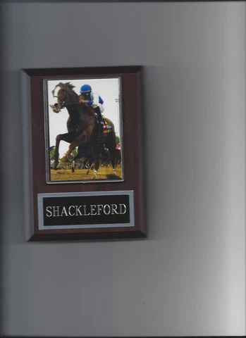 SHACKLEFORD PLAQUE HORSE RACING TURF Cover