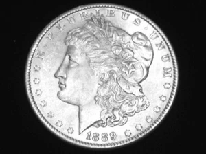 1889 Morgan Dollar --- Choice Uncirculated - Picture 1 of 4