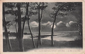44 SAINT BREVIN LES PINS LA MER ET LES PINS - Photo 1/2