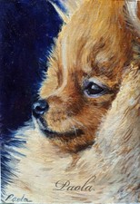 ACEO ORIGINAL Oil painting cute Dog Pomeranian puppy animal miniature art card 
