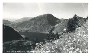 Foto postal real Wildflowers on Palmer Mtn Overlook & Lake Washington RPPC - Imagen 1 de 2