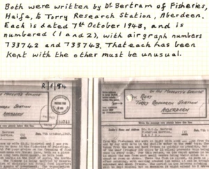PALESTINE/GB WW2 AIRGRAPH{2} Haifa *FISH* 1943 FISHERIES RESEARCH STATION MAL15 - Picture 1 of 11