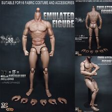 ZC Toys 1/6 Scale Emulated Figure Muscular Body For Hot Toys