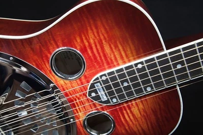 Guitarras Scheerhorn Maple - National Resonator Foto 1 de 4