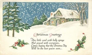 Postal de hojas de acebo saludos de Navidad que cae nieve - Imagen 1 de 2
