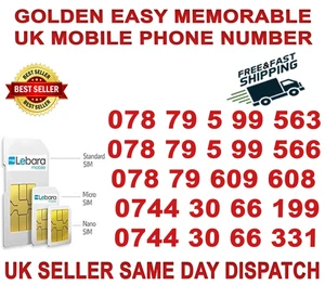 GOLDEN EASY MEMORABLE UK VIP MOBILE PHONE NUMBER/PLATINUM SIM( Lebara B 45 )