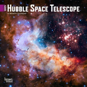 Mini calendario de pared Telescopio Espacial Hubble 2025 - Imagen 1 de 2