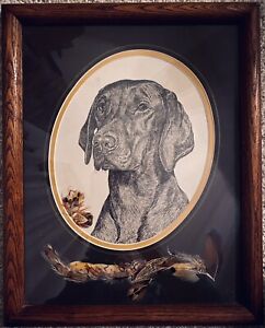 VIZSLA portrait-dog art print * Pen and ink drawing * Double-Matted & Framed